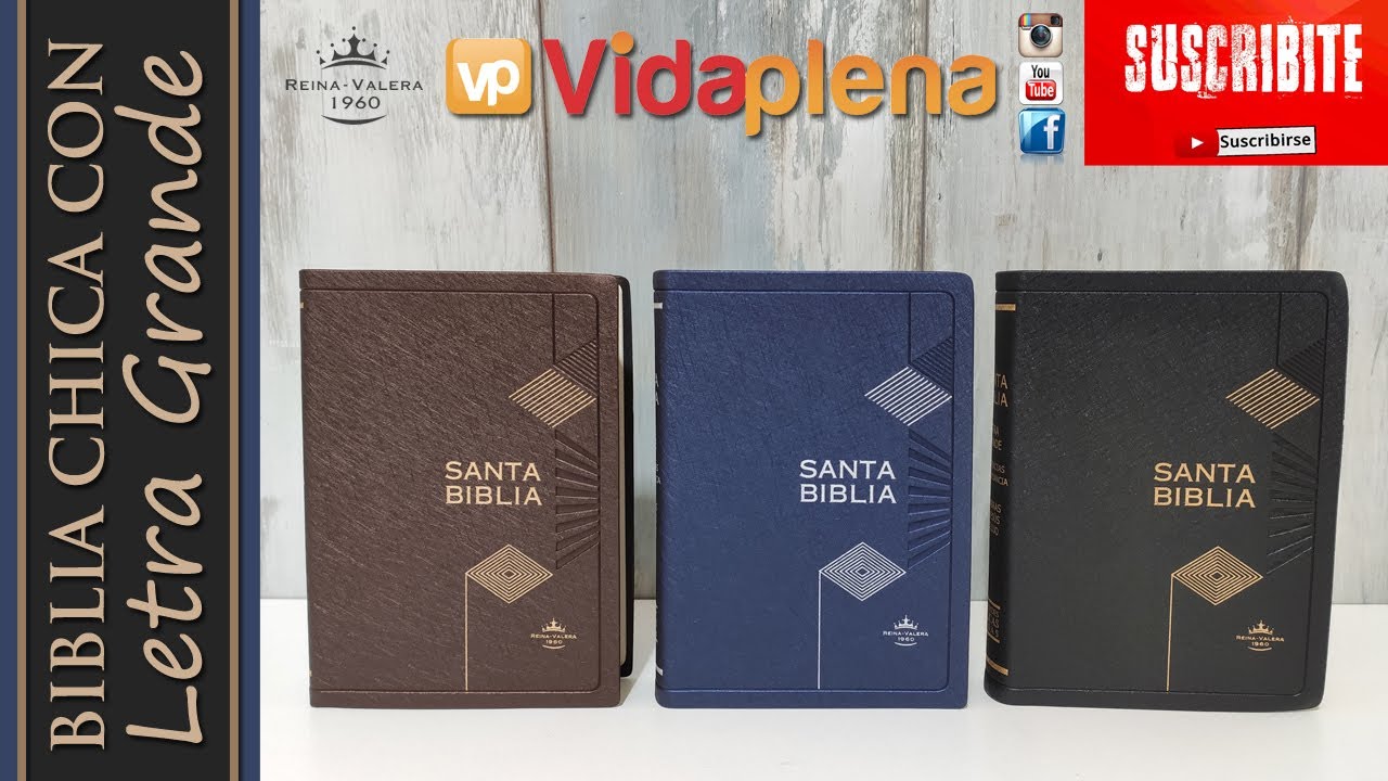 Biblia CHICA con LETRA GRANDE con diseño interior exclusivo RV60 - tamaño 12x17x3 cm excelente