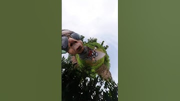 Insta 360 camera 😂😂 funny editing #automobile #funny #shorts #funnyediting #insta360 #dbdrider