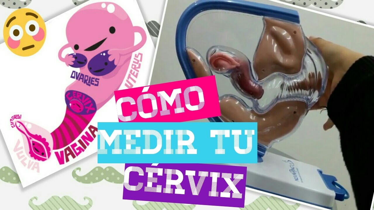 Cómo Medir Tu Cérvix Youtube