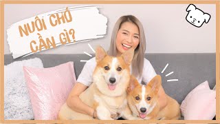 Nuôi Chó Cần Mua Những Gì ♡ Bài Học Tiêu 8 Triệu Tháng Đầu Nuôi Chó