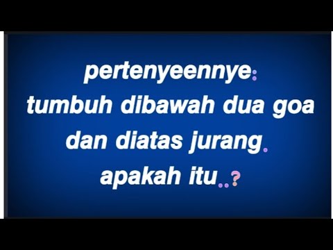 Video: Teka-teki Memerhatikan Monyet Tegak Besar Dan Berbau Di Jepun Pada Tahun 1970-an - Pandangan Alternatif