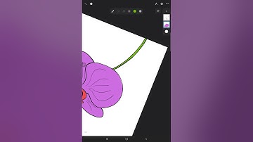 Orchid Vector l infinite Design