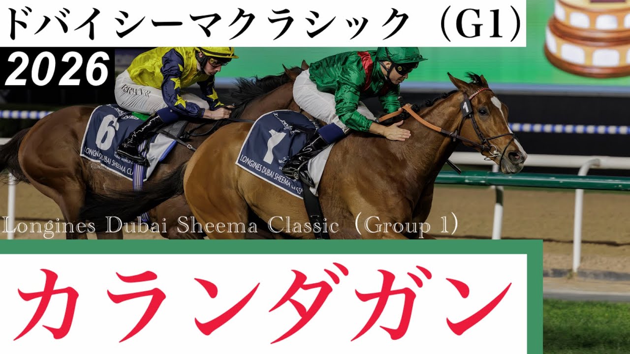 外から届いた届いたカランダガン！G1・5連勝です！」【ドバイシーマ