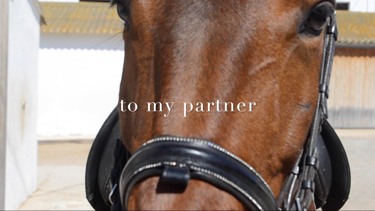 A letter to my horse YouTube