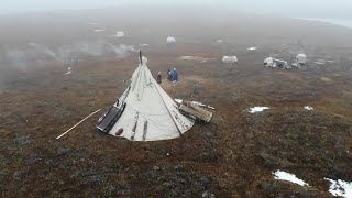 видео: Утренняя звезда на краю земли. Жизнь в самом северном посёлке полуострова | Ялэмдад нумгы 19.11.2021 картинка: Утренняя звезда на краю земли. Жизнь в самом северном посёлке полуострова | Ялэмдад нумгы 19.11.2021