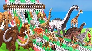 Be Fast and Run Away from Spike Roller Dinosaurs Prehistoric Mammals vs Animals Animal revolt battle by Animal Doodle TV 248,950 views 3 months ago 6 minutes, 13 seconds