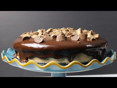 chocolate-and-peanut-butter-cheesecake-recipe-with-reese-on-top