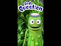 Learn the Four Questions with Monty Pickle! Prepare for the Passover Seder with the Second Question!