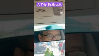THE AIR FRESHENER IS BLOCKING MY VIEW!!!! #travel #trip