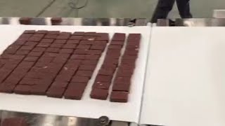 Automatic System for Enrobered Wafer
