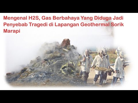 Video: Apa nama ilmiah dari h2s?