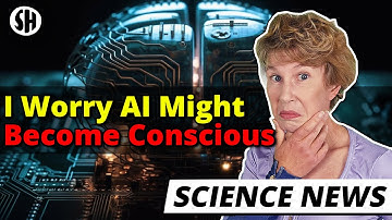 Why Doesn’t Anyone Monitor AI Consciousness?