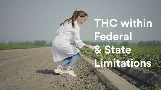 THC Demystified