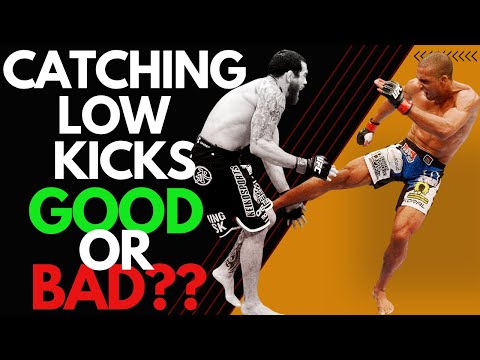 What Do I Think About Catching Low Kicks???