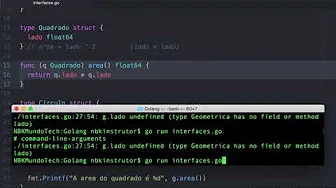 cursos/0010-aprenda-golang: Detalhe Sobre o Acesso de Propriedades do Tipo Subjacente a Interface - Aula de Go