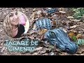 DIY- Jacaré de Cimento/Cement alligator/Cocodrilo de cemento