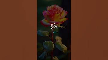 @وَإِنَّ رَبَّكَ لَذُو فَضْلٍ عَلَى النَّاسِ وَلَٰكِنَ أَكْثَرَهُمْ لَا يَشْكُرُونَ سورة النمل الآية