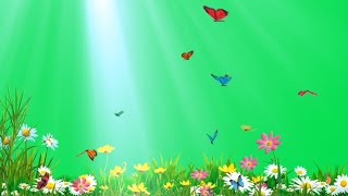 flower animation green screen background effect | green screen flowers and butterflies | butterfly