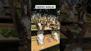 Gold Medal Roebucks | 50+ Kapitaler Rehbock Trophäen – Romania #hunting #roebuck