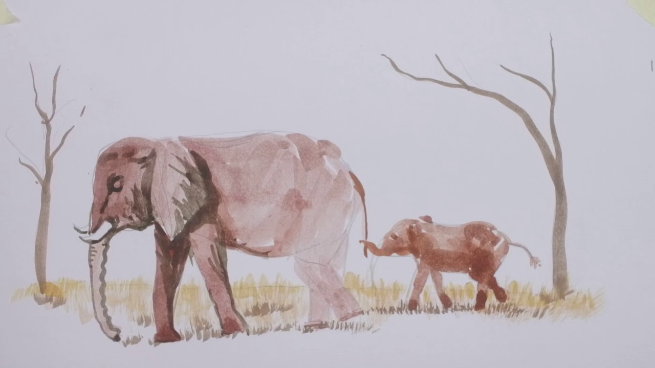 How to paint elephant by watercolour ep.2/2.สอนวิธีวาดช้างในทุ่งหญ้า2/2
