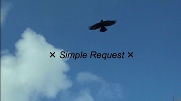simple request // original song