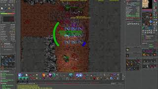 Tibia Estela - easy Triggered cleanup