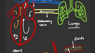 ممنوع استخدام الmannitol في حالة acute pulmonary edema