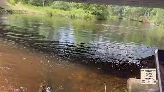 Livestream! 2026 Spikes Challenge Canoe Race: The Start; Stephan Bridge; and McMasters Bridge Finish