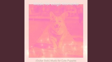 Pulsating Ambience for Quiet Dogs