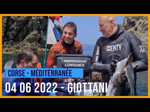 Image du reportage Barracuda géant en Chasse sous-marine aux Cap Corse - Gottani (Stéphane Dudon - Denty Spearfishing)