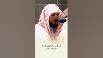 #ماهر_المعيقلي #تلاوة_خاشعة #القرآن_الكريم #quran #قرآن #تلاوة #القرآن #تلاوات