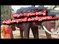 ആന സ്വയം തേച്ച് കുളിക്കുന്നത് കണ്ടിട്ടുണ്ടോ....#kerala#elephant #malayalam #elephant