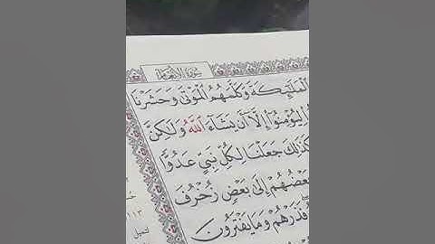 القارئ جاسم حسن آل سويد تلاوة خاشعة من سورة الأنعام ( قرآن الفجر)