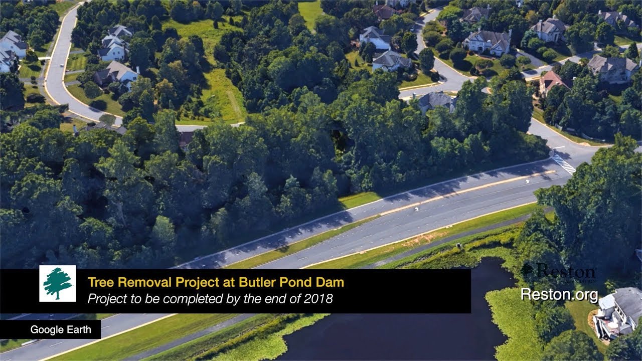 Reston Today - Tree Removal Project at Butler Pond Dam - YouTube