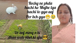 Rocky n pkda hachi ko pr bechara der gya 🥹