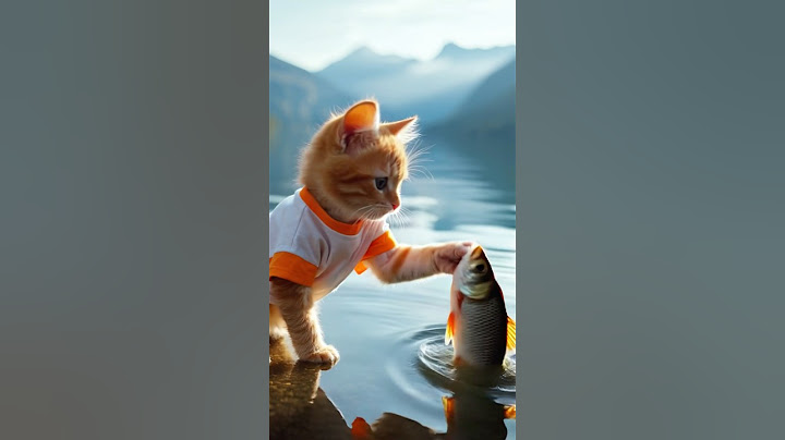 Let's rizz up some fish!