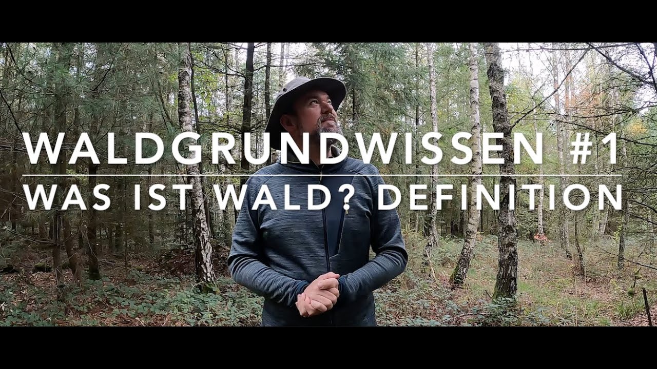 Was ist Wald? - Waldgrundwissen #1