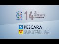 Under 17  pescara  benevento  11