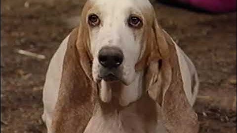 Sing And Dance Credits Comparison (Screener vs. Final Version) (V2) (1999 Version) Part 22