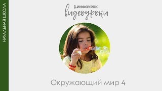 Герои Великой Отечественной войны | Окружающий мир 4 класс #41 | Инфоурок