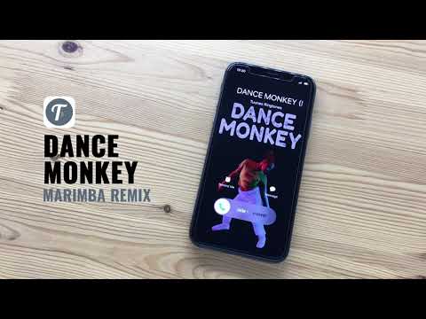 #1 DANCE MONKEY Ringtone (Marimba Remix) | Tones & I Dance Monkey Tribute | iOS & Android Download