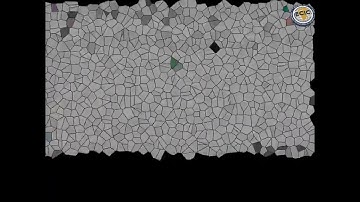 Microsoft Excel Module 2 3