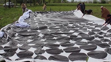 PAS Awards 2015  Not a Bug Splat 30 sec