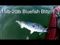 MONSTROUS Jersey Shore Bluefish - Near Record Kayak Blues!