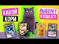 КАКОЙ КОРМ и ЛАКОМСТВА ВЫБЕРЕТ КОШКА