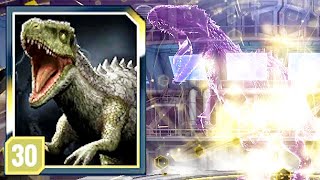 NEW APEX INDONEMYS MAX LEVEL 30 CREATION (JURASSIC WORLD ALIVE)