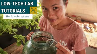 How to grow spirulina at home ? DIY Tutorial