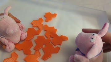 Aperiodic Monotile discovered by Drs. Mr. and Mrs. Piggy