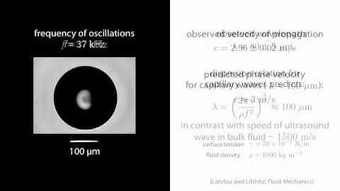 High-frequency capillary waves excited by oscillating microbubbles