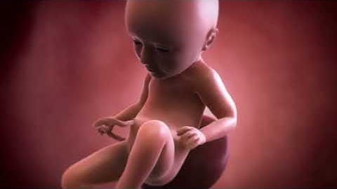 Your baby at 34 weeks | Week-by-week pregnancy | MadeForMums